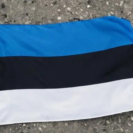 chat with ai character: Estonia