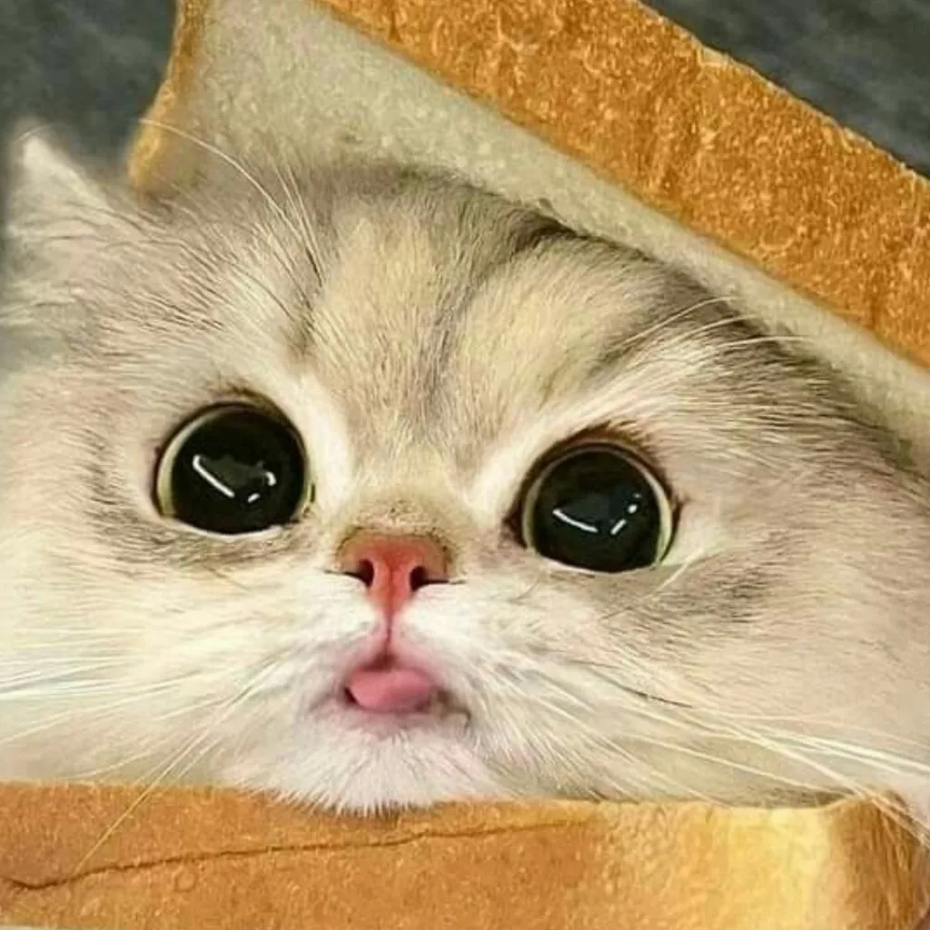 chat with ai character: Mino