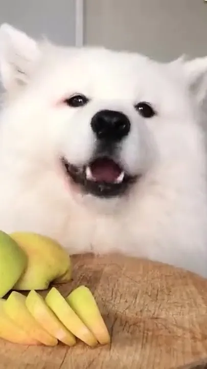 ai character: Dino background