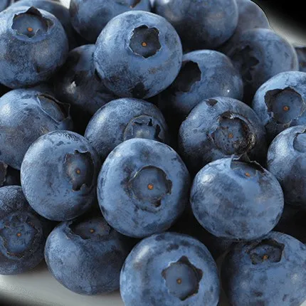 creator ~🫐B|u3B3rr¥🫐~'s avatar