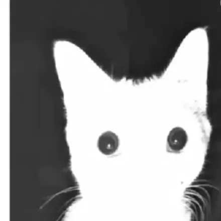 creator Talkior-A0JrxEU4's avatar