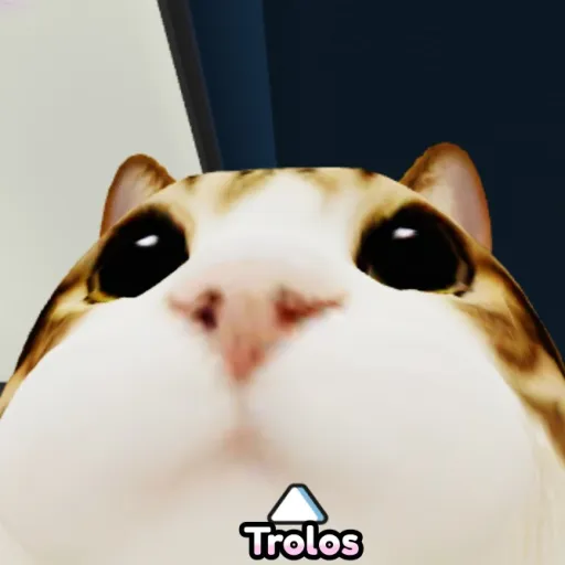 creator isita la pendeja🤑🤙's avatar