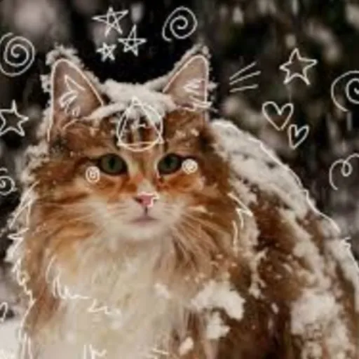 creator Therians♡♡'s avatar