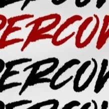 chat with ai character: UNDERCOVER