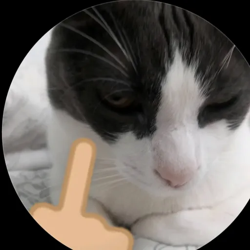comment user avatar