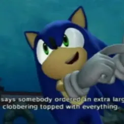 chat with ai character: roasting sonic