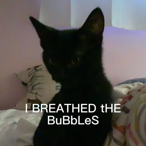 creator The evil baby cat's avatar