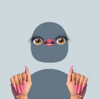 creator damn man's avatar