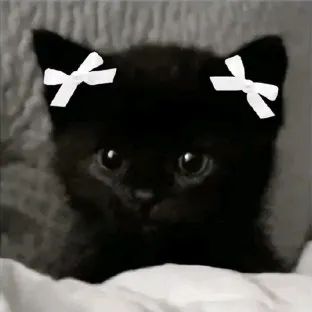 creator I love (Sylus)Cats's avatar