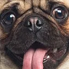 creator scrapbro 5.0's avatar