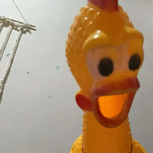 creator ☆HEATHER☆'s avatar