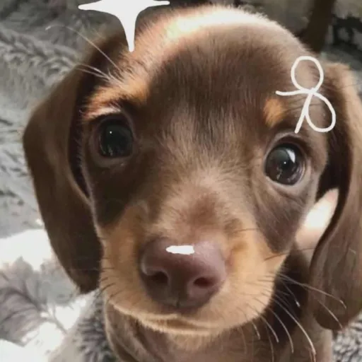 creator Talkior-SGKw96kp's avatar