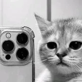creator Pepito el gato 😺😺's avatar