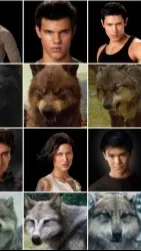 ai character: Twilight Wolves background