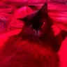 creator VIOLETZZZZZ's avatar
