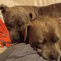 chat with ai character: Kyllian