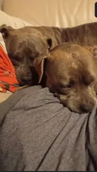 ai character: Kyllian background