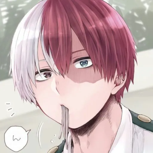 creator Shoto'sFutureWife~'s avatar