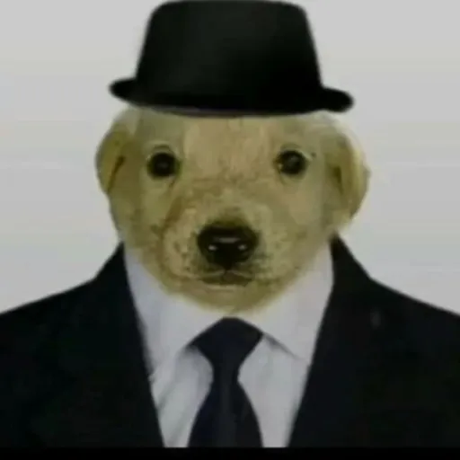 comment user avatar