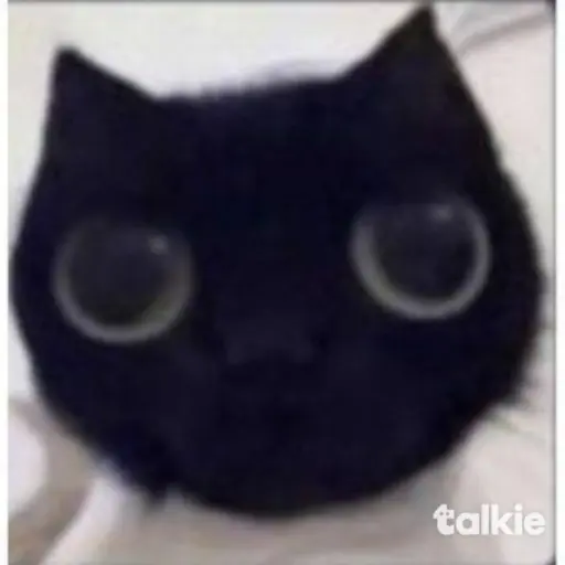 creator ★♥︎kitty♥︎★'s avatar