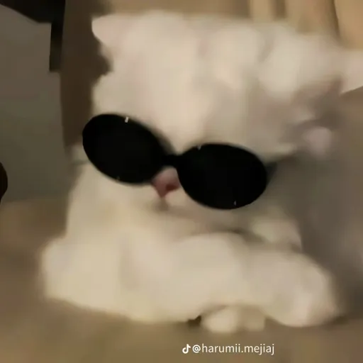 creator ei lasari's avatar