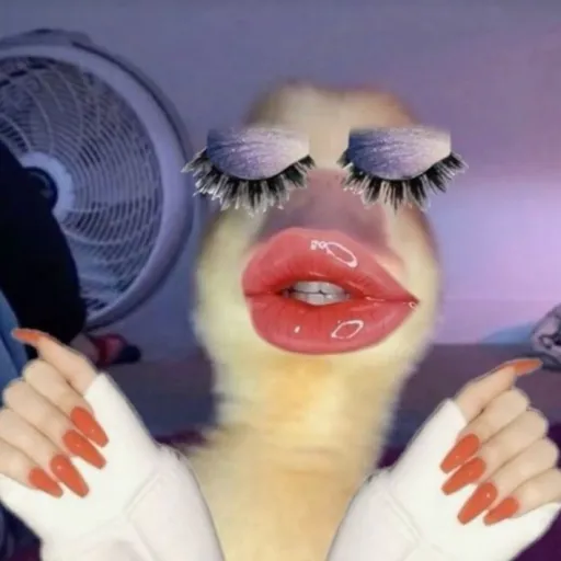 creator Saira Talpur's avatar