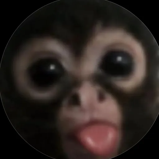 creator Emilysdoresyou's avatar