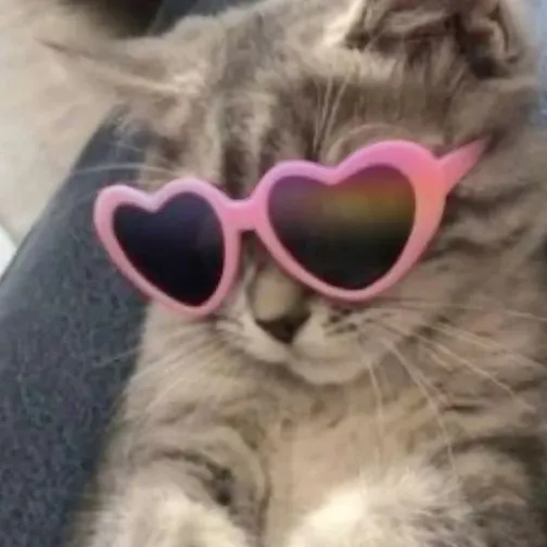 creator π MISS KITTY π's avatar