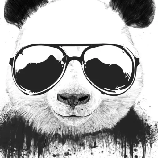 creator PANDAAA2's avatar