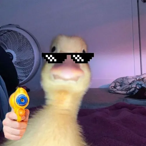 creator 🦆 ONION RINGS 🦶's avatar