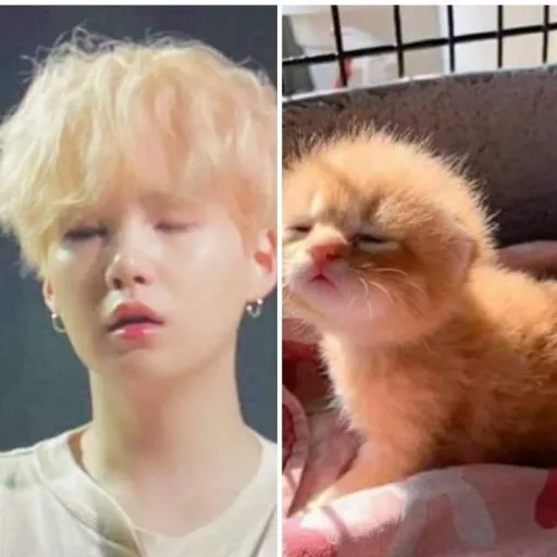 creator hannah.skz's avatar