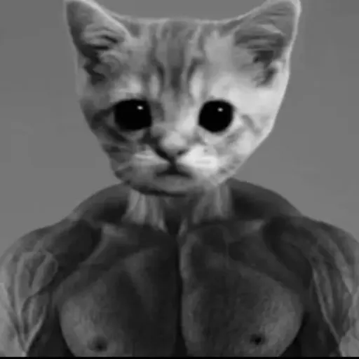 creator гига кот's avatar