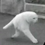 creator StinkyBozo2742's avatar