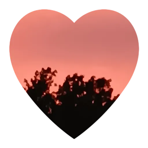 creator Dance_love65's avatar