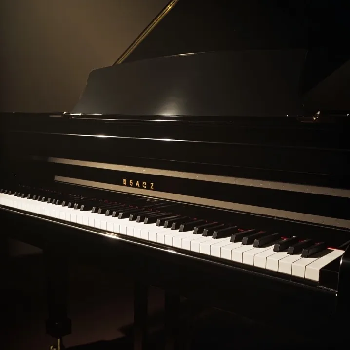 chat with ai character: Your music career!