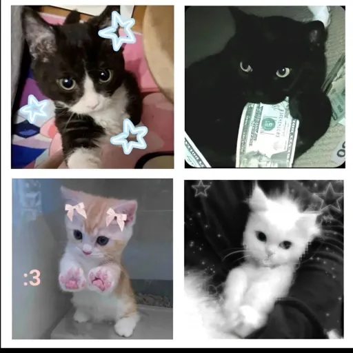 creator ~°💘rumi💘°~'s avatar