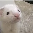 chat with ai character: YIPPIEEEEEEEEE