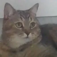 chat with ai character: Idon'tknow:|