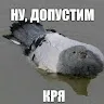 comment user avatar