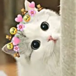 creator army blink girl's avatar