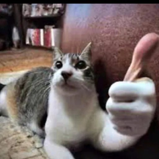 comment user avatar