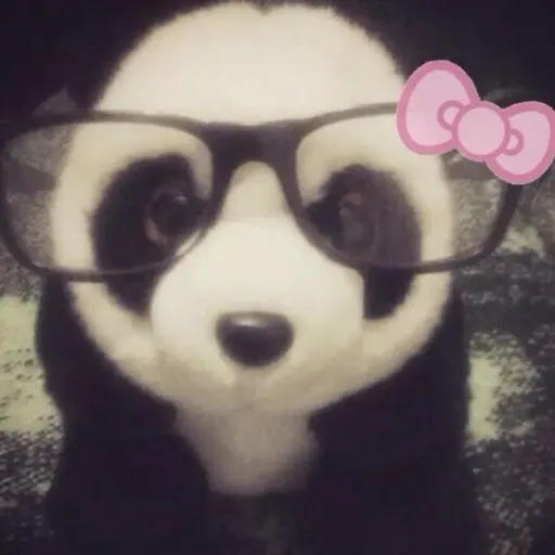 creator PandaBows💋's avatar