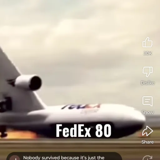 creator FedEx 80 flight's avatar