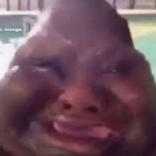 creator user30005864's avatar