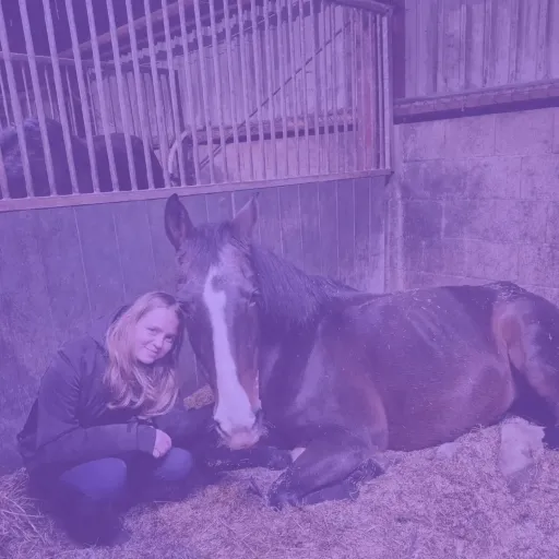 creator felix van skz's avatar