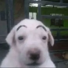 creator Quaker._.pro's avatar