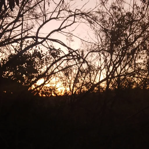 creator Its Me!!!'s avatar