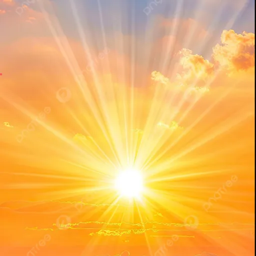 creator ~𝓵𝓲𝓰𝓱𝓽☀️~'s avatar