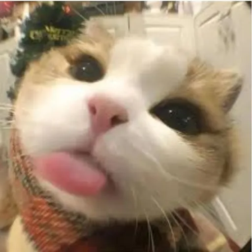 creator T0et1ckl3r's avatar