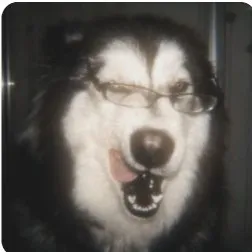 creator GuMm1_W0rMz!!2 🍭's avatar